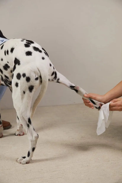 4furbaby pet cleaning wipes