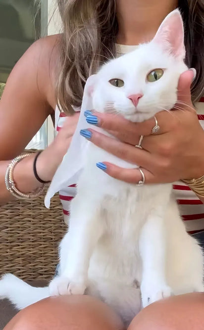 4furbaby_cleaning_wipes