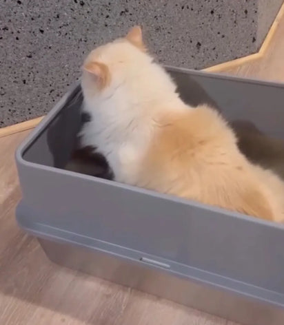 Cat using the 4furbaby cat litter box