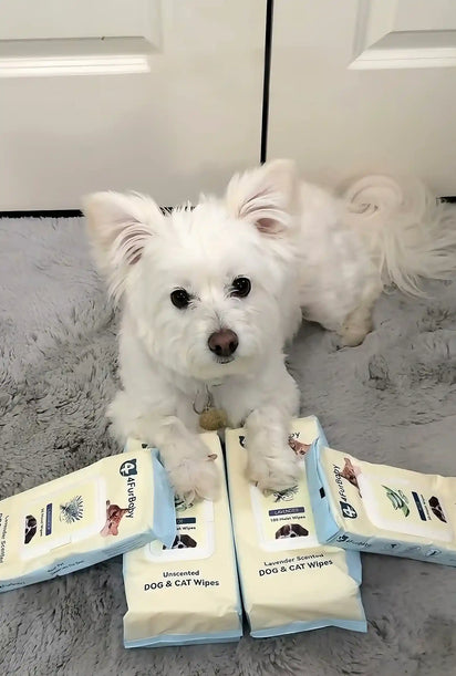 4furbaby pet cleaning wipes