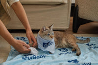 100 counts Extra - Thick Plant Wipes Premium 100% Plant - Based & Compostable Pet Grooming Wipes – Keep Your Pet Fresh the EZ Way - 4FurBaby