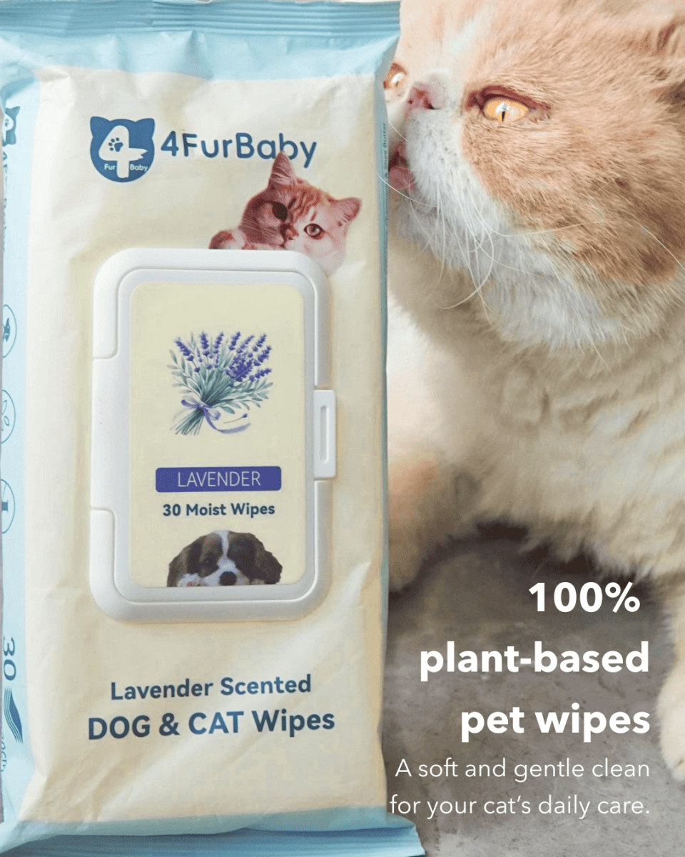 100 counts Extra - Thick Plant Wipes Premium 100% Plant - Based & Compostable Pet Grooming Wipes – Keep Your Pet Fresh the EZ Way - 4FurBaby
