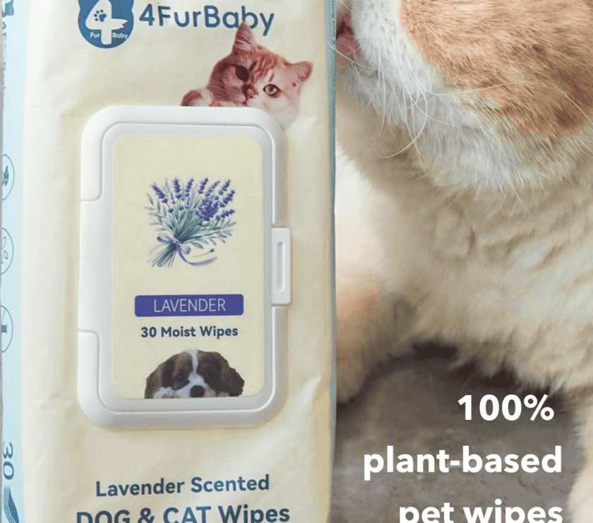 100 counts Extra - Thick Plant Wipes Premium 100% Plant - Based & Compostable Pet Grooming Wipes – Keep Your Pet Fresh the EZ Way - 4FurBaby