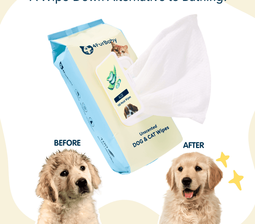 100 counts Extra - Thick Plant Wipes Premium 100% Plant - Based & Compostable Pet Grooming Wipes – Keep Your Pet Fresh the EZ Way - 4FurBaby