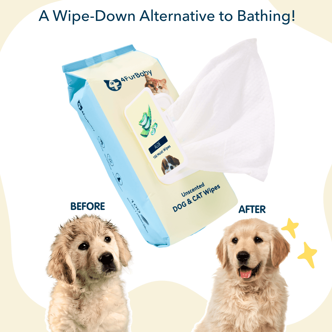 100 counts Extra - Thick Plant Wipes Premium 100% Plant - Based & Compostable Pet Grooming Wipes – Keep Your Pet Fresh the EZ Way - 4FurBaby