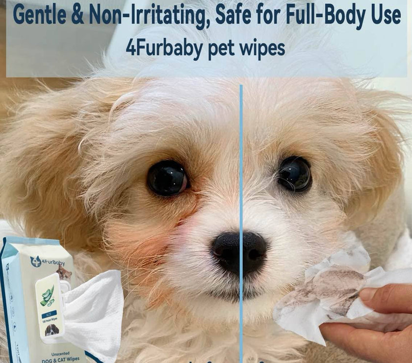 100 counts Extra - Thick Plant Wipes Premium 100% Plant - Based & Compostable Pet Grooming Wipes – Keep Your Pet Fresh the EZ Way - 4FurBaby