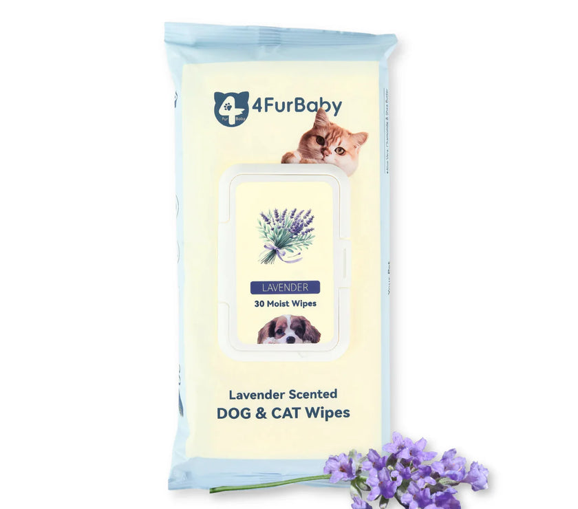 100 counts Extra - Thick Plant Wipes Premium 100% Plant - Based & Compostable Pet Grooming Wipes – Keep Your Pet Fresh the EZ Way - 4FurBaby