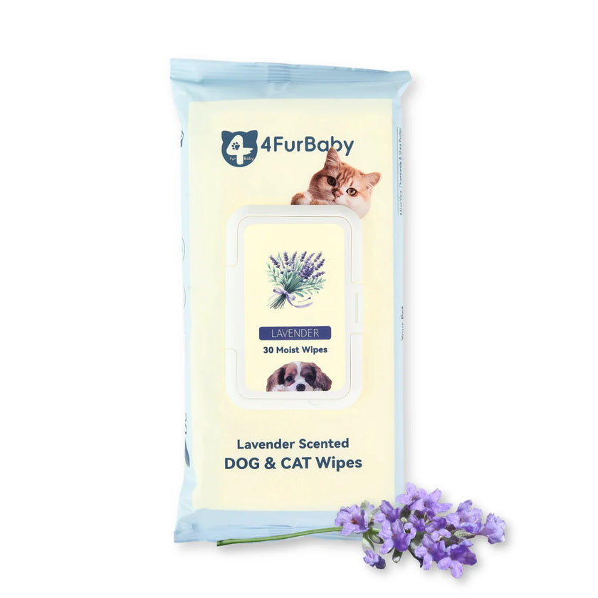 100 counts Extra - Thick Plant Wipes Premium 100% Plant - Based & Compostable Pet Grooming Wipes – Keep Your Pet Fresh the EZ Way - 4FurBaby
