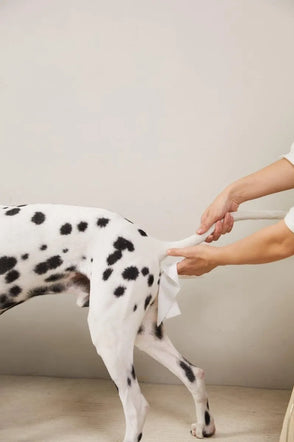 4furbaby pet cleaning wipes