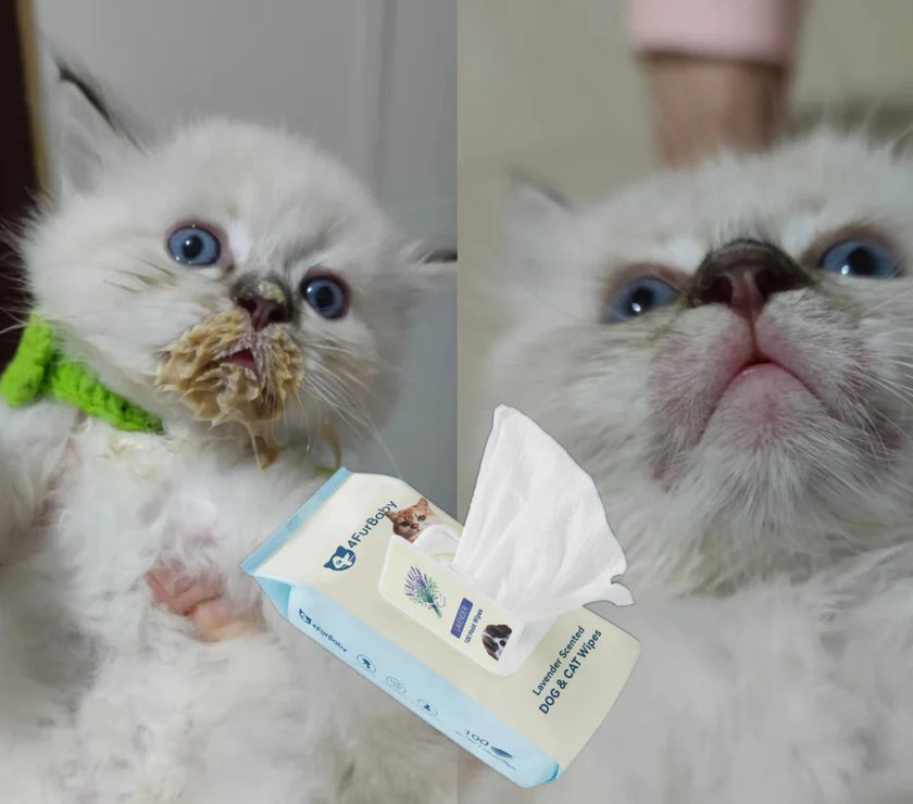 100 counts Extra - Thick Plant Wipes Premium 100% Plant - Based & Compostable Pet Grooming Wipes – Keep Your Pet Fresh the EZ Way - 4FurBaby