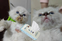 100 counts Extra - Thick Plant Wipes Premium 100% Plant - Based & Compostable Pet Grooming Wipes – Keep Your Pet Fresh the EZ Way - 4FurBaby