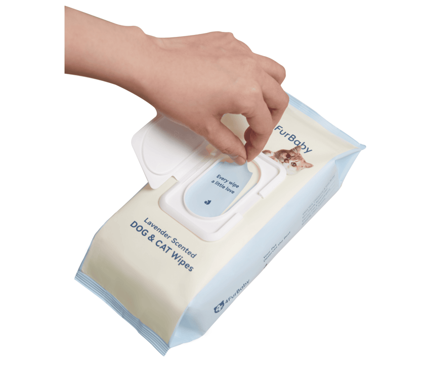 100% Plant - based Pet Wipes Dog & Cat Cleaning and Odor - Controlling Grooming Wipes