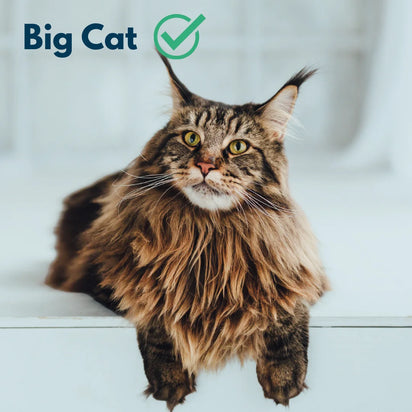 4furbbay xxl stainless steel  cat litter box  for all cats