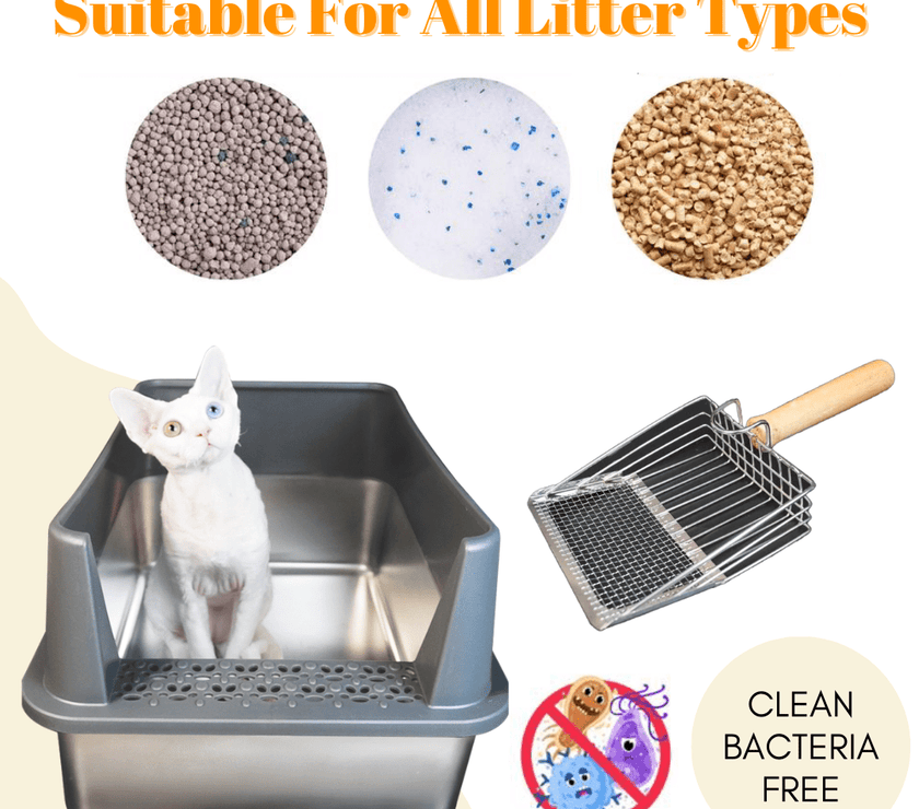 2 - in - 1 Stainless Steel Cat Litter Scoop - Wooden Handle, Efficient Cleaning - 4FurBaby