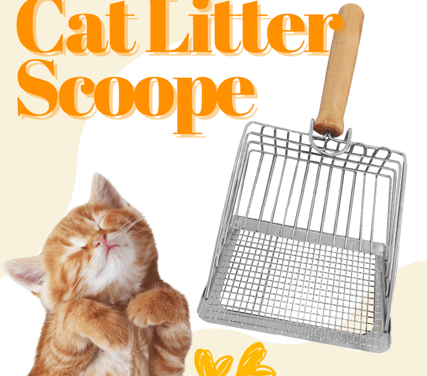 2 - in - 1 Stainless Steel Cat Litter Scoop - Wooden Handle, Efficient Cleaning - 4FurBaby