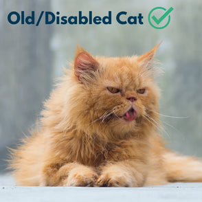 4furbbay xxl stainless steel  cat litter box  for all cats