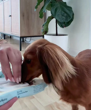 4furbaby pet cleaning wipes