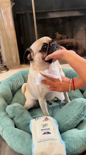 4furbaby pet cleaning wipes