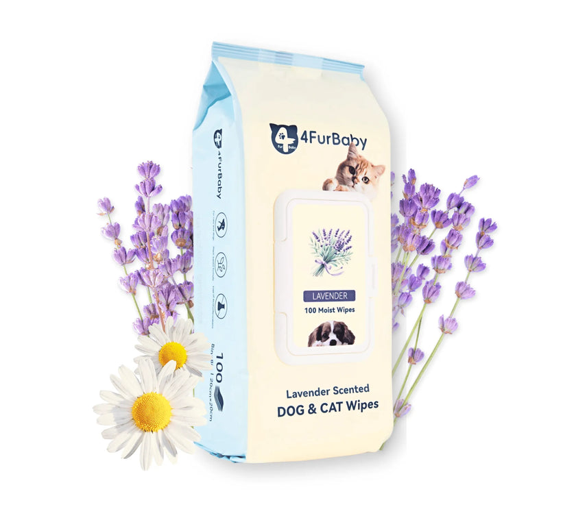 Package of 4FurBaby lavender-scented dog and cat wipes with flowers on a white background