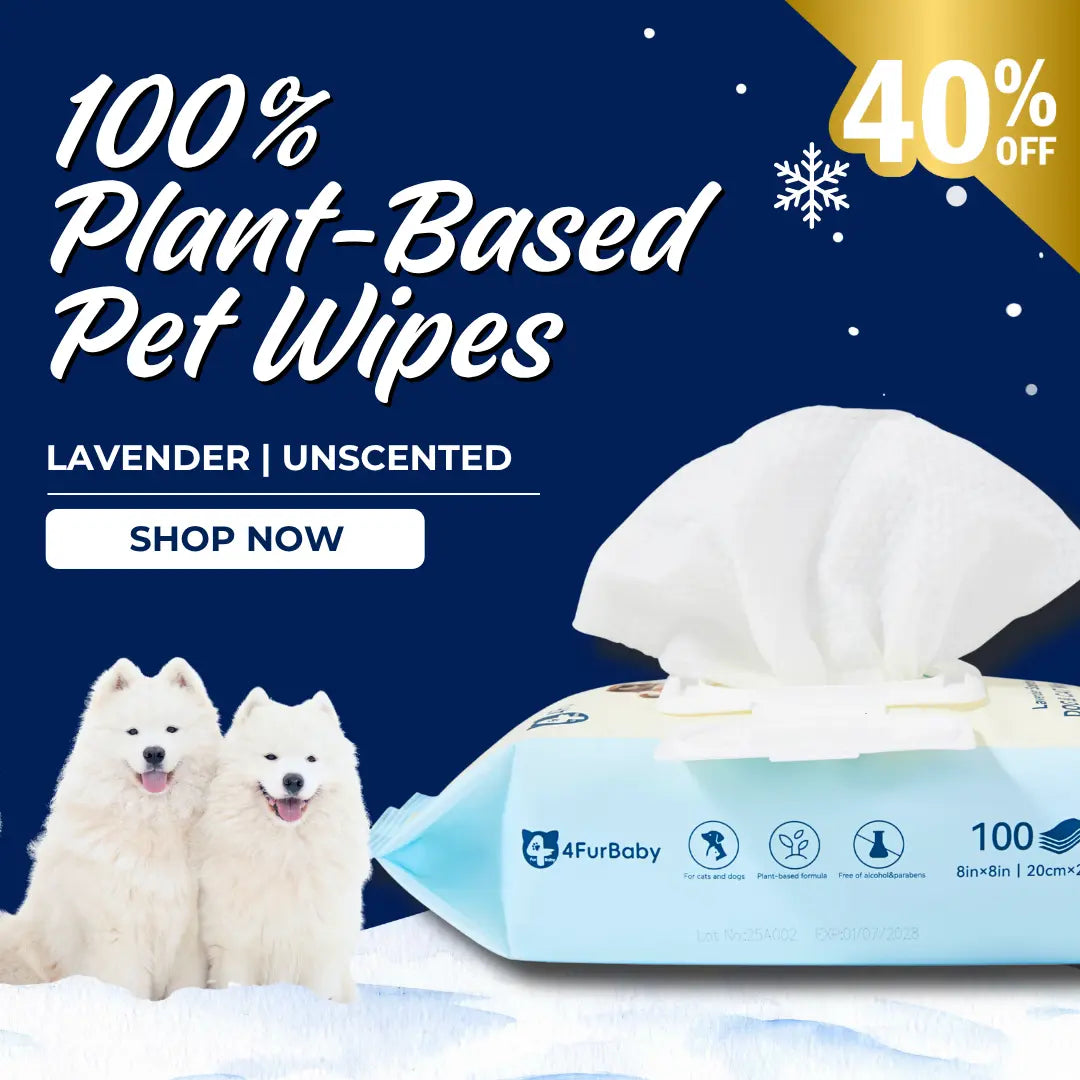 4furbaby_winter_sale_banner