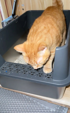 4furbaby_xxl_stainless_steel_litter_box