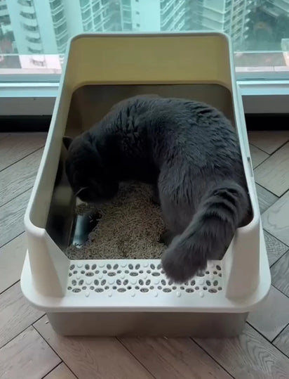 cat_in_4furbaby_cat_litter_box