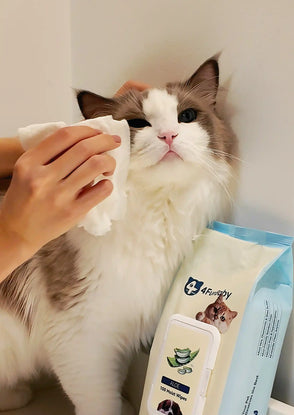 4furbaby pet cleaning wipes