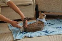 Plant - based Pet Grooming Wipes - Compostable, Gentle - Sensitive Skin Care - Safe All - in - one Wipes for Dogs & Cats - 4FurBaby