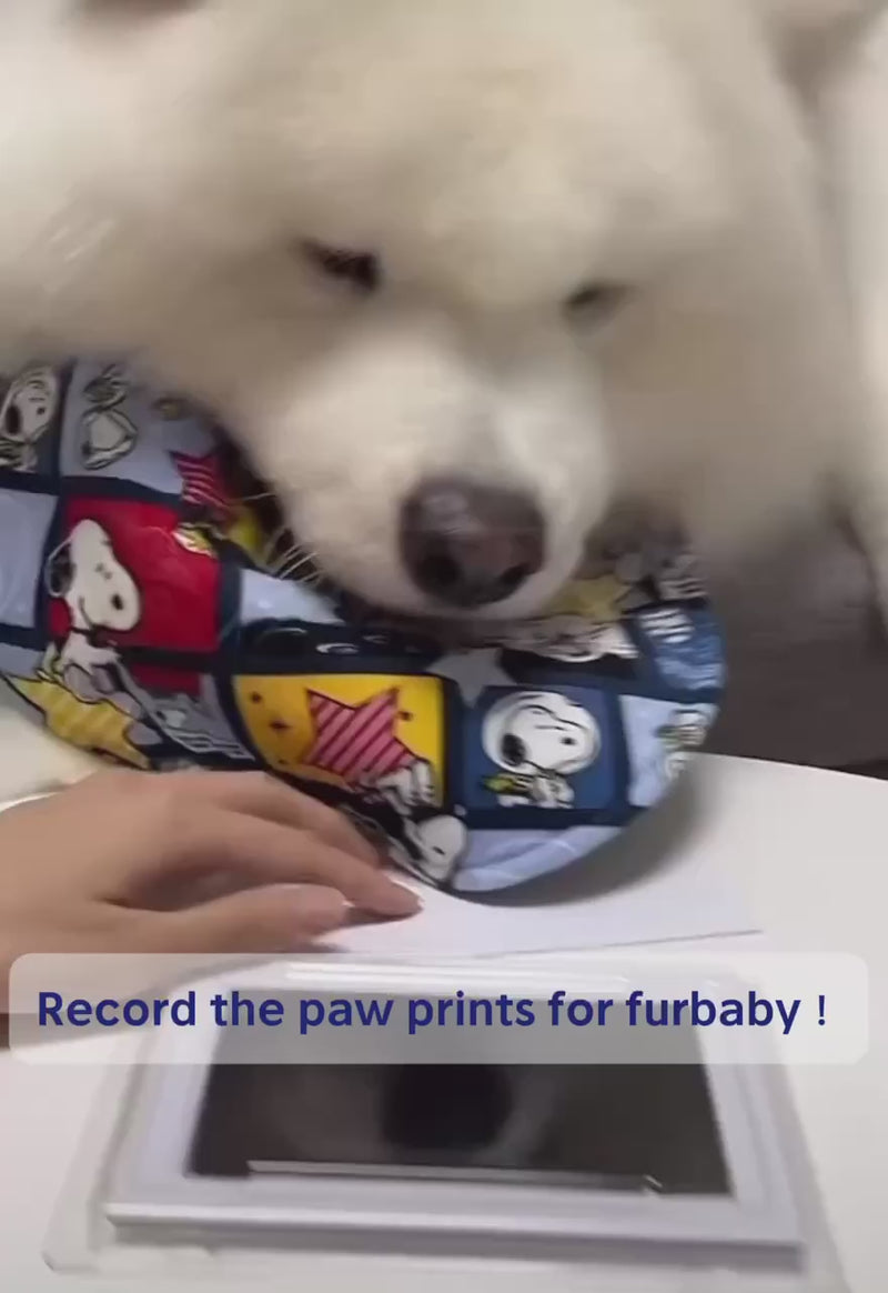 Pet Paw Print Kit for Dogs & Cats – No-Mess, Inkless Memorial Keepsake with Frame | Sympathy Gift