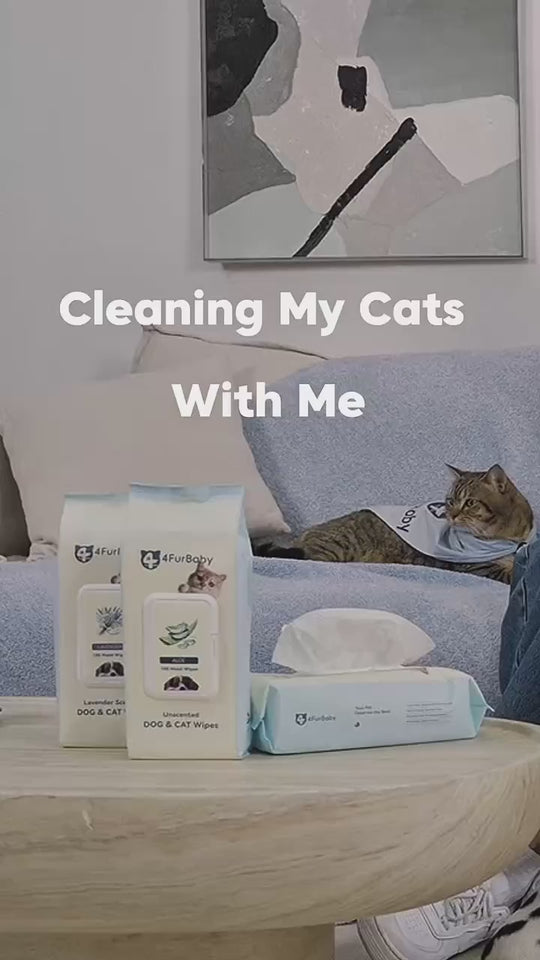 Plant-Based Pet Wipes for Dogs & Cats – Hypoallergenic, Gentle, Cleaning & Hydrating for Paws, Body & Butt – Daily Grooming Use – 400 Count