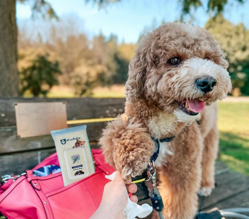 Travel - Sized Portable 30 Wipes - 100% plant - based Pet Wipes – Biodegradable, Gentle, and Soothing - 4FurBaby