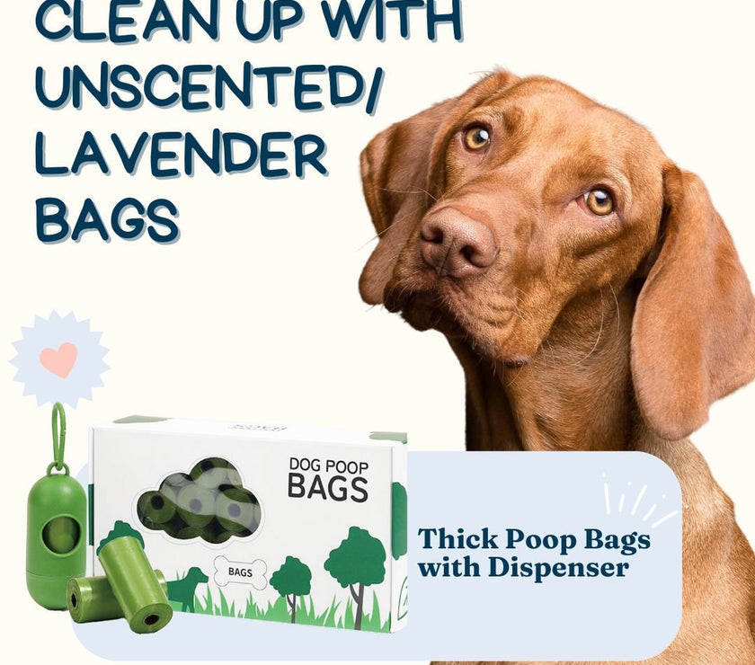 Value Pack poop bag - Eco - Friendly Degradable Pet Waste Bag Set - Thick Poop Bags with Dispenser - 4FurBaby