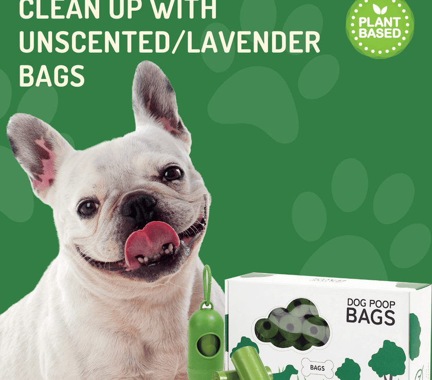 Eco - Friendly Degradable Pet Waste Bag Set - Thick Poop Bags with Dispenser - 4FurBaby